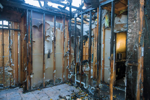 Professional Smoke Damage Removal technician working in Lonsdale, MN